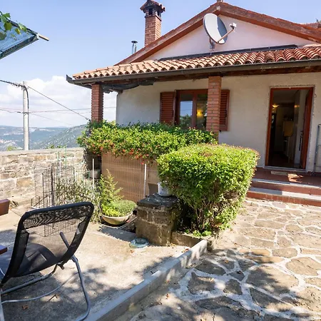 Violet's Place * Črni Kal