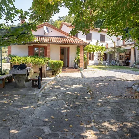 Violet's Place Crni Kal