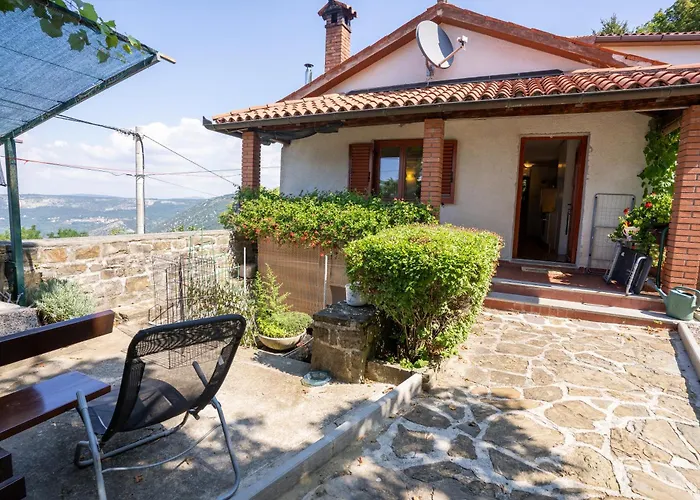 Violet's Place * Črni Kal